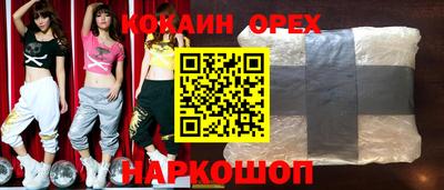 Альфа ПВП Гатчина