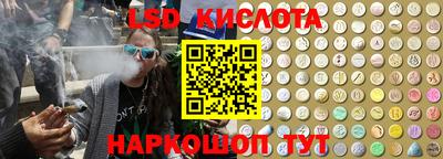 Альфа ПВП Гатчина