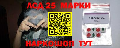 Альфа ПВП Гатчина