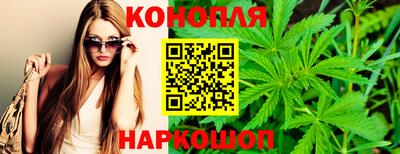 Альфа ПВП Гатчина