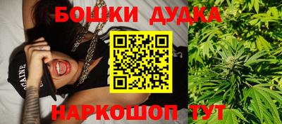 Альфа ПВП Гатчина