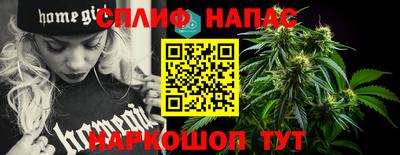 ешки Гагарин