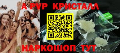 Альфа ПВП Гатчина