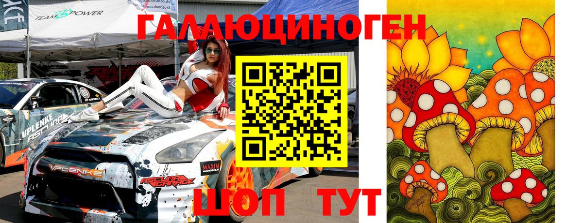 Псилоцибиновые грибы Psilocybe  Псилоцибиновые грибы прущие грибы  Норильск  Вход с VPN 