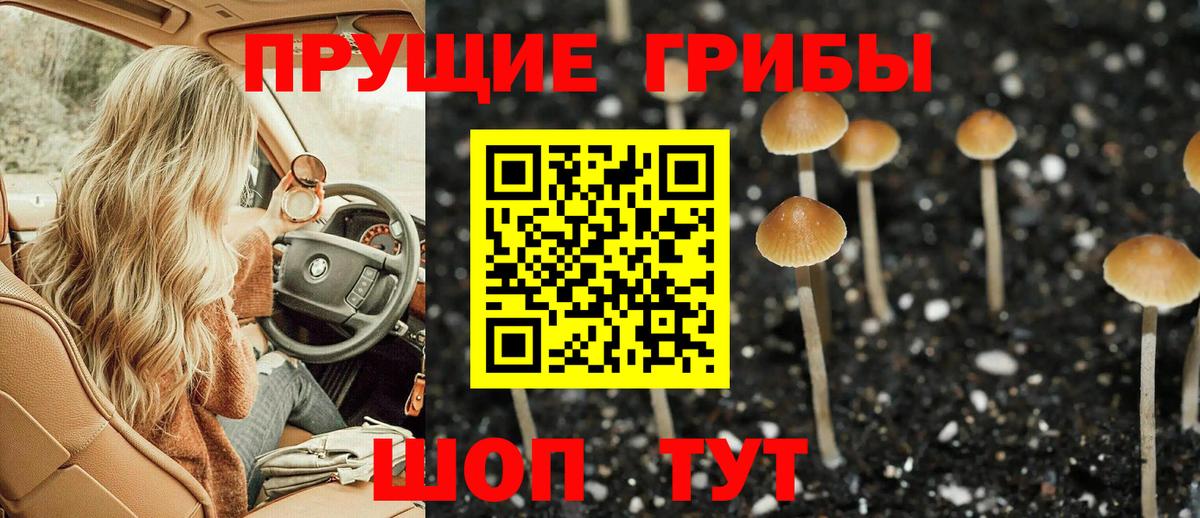 Галлюциногенные грибы ЛСД Норильск